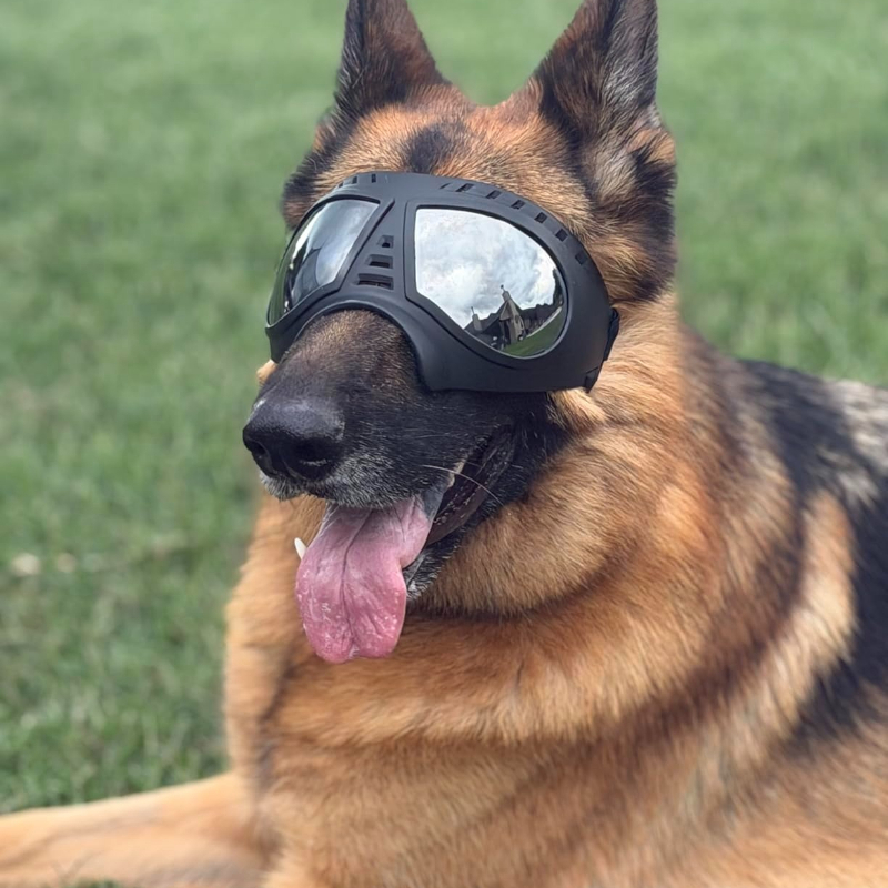Snow Goggle Uv - Pet Glasses for Medium Large-size Dog