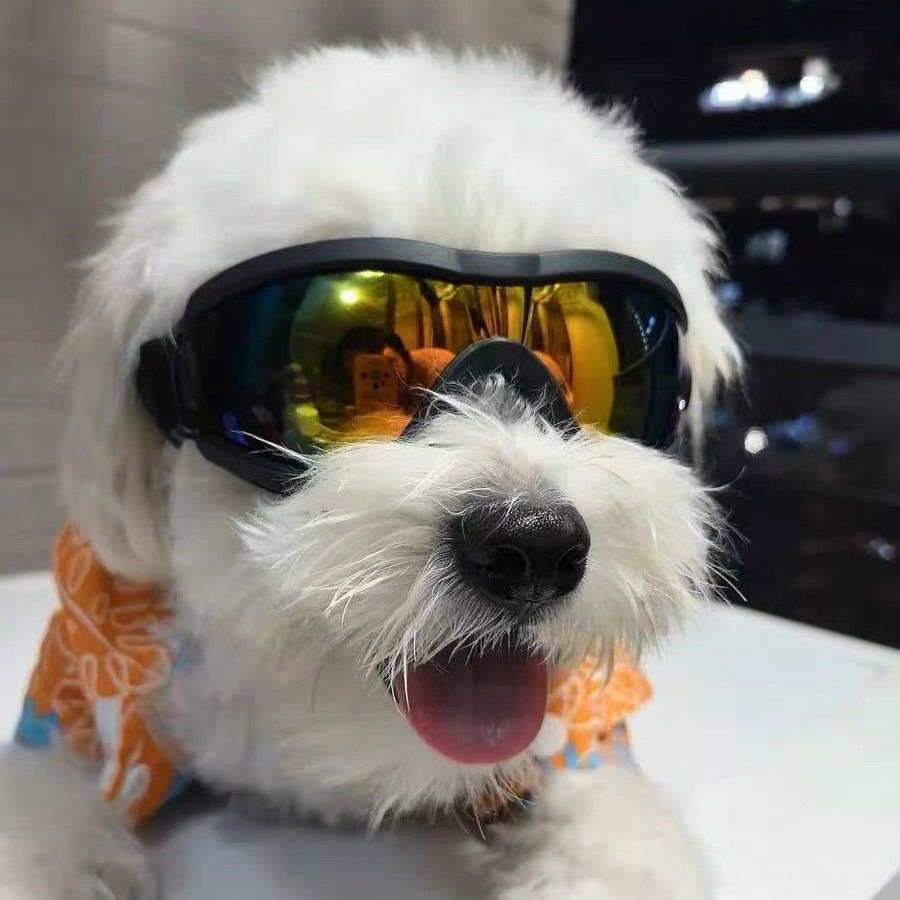 Adjustable TPU Dog Sunglasses  - огляд і ціна Snow Goggle Uv