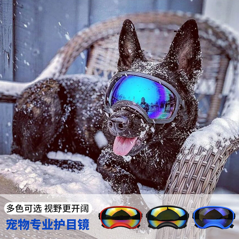 Dog Goggles Outdoor Skiing Win - огляд і ціна Snow Goggle Uv