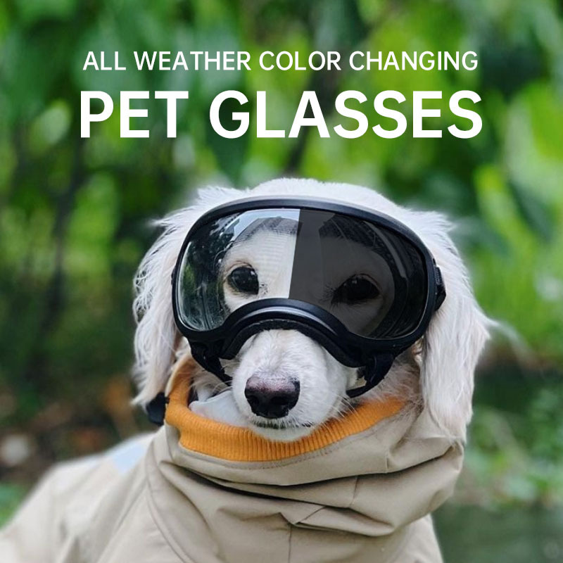 Color changing pet glasses dog - огляд і ціна Snow Goggle Uv