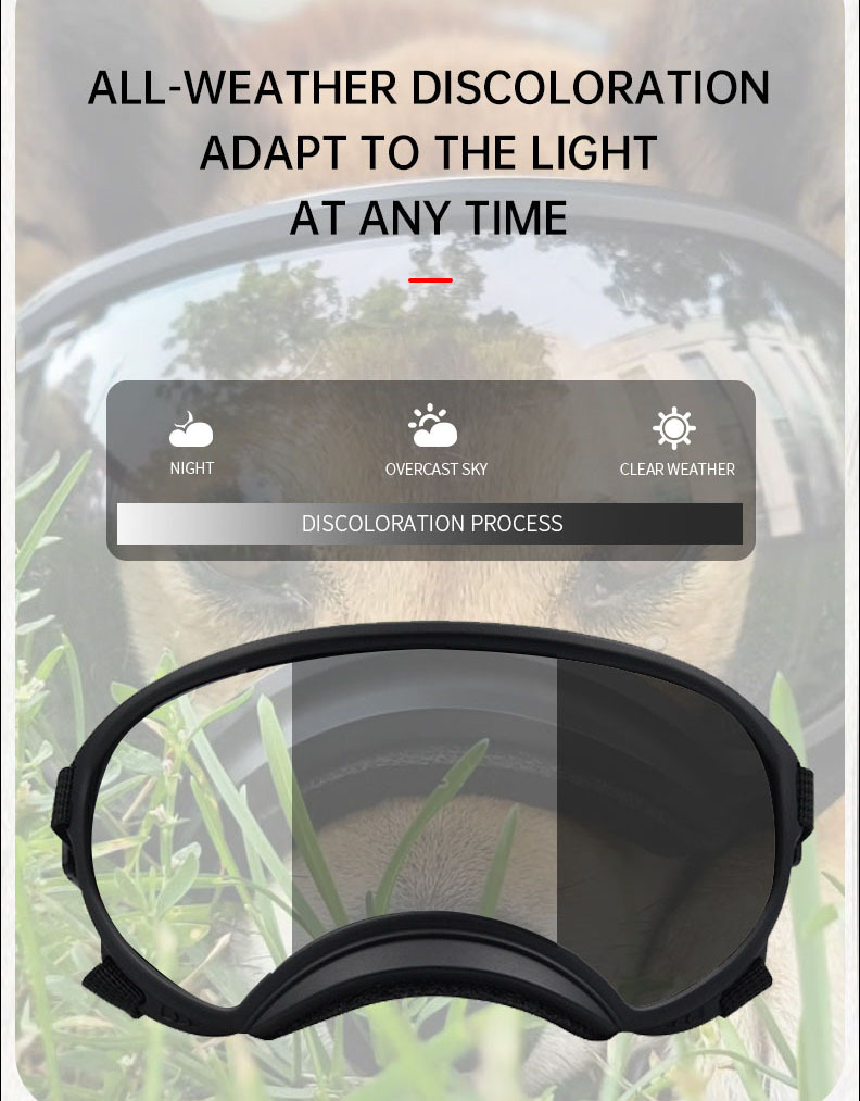 Color changing pet glasses dog - огляд і ціна Snow Goggle Uv