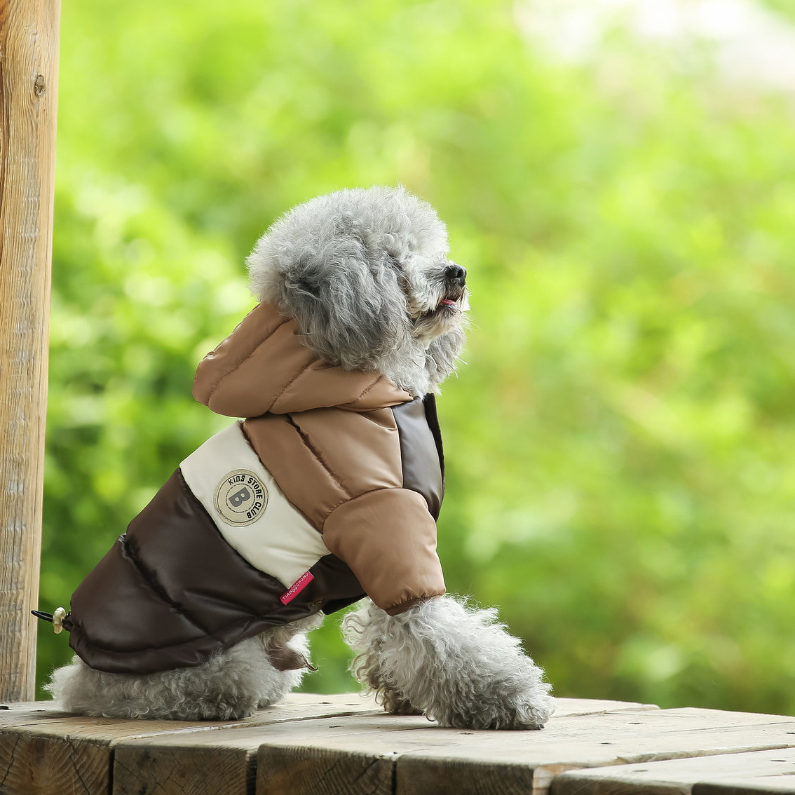 Pet Vest Pet Supplies Winter C - огляд і ціна Winter Clothing Options