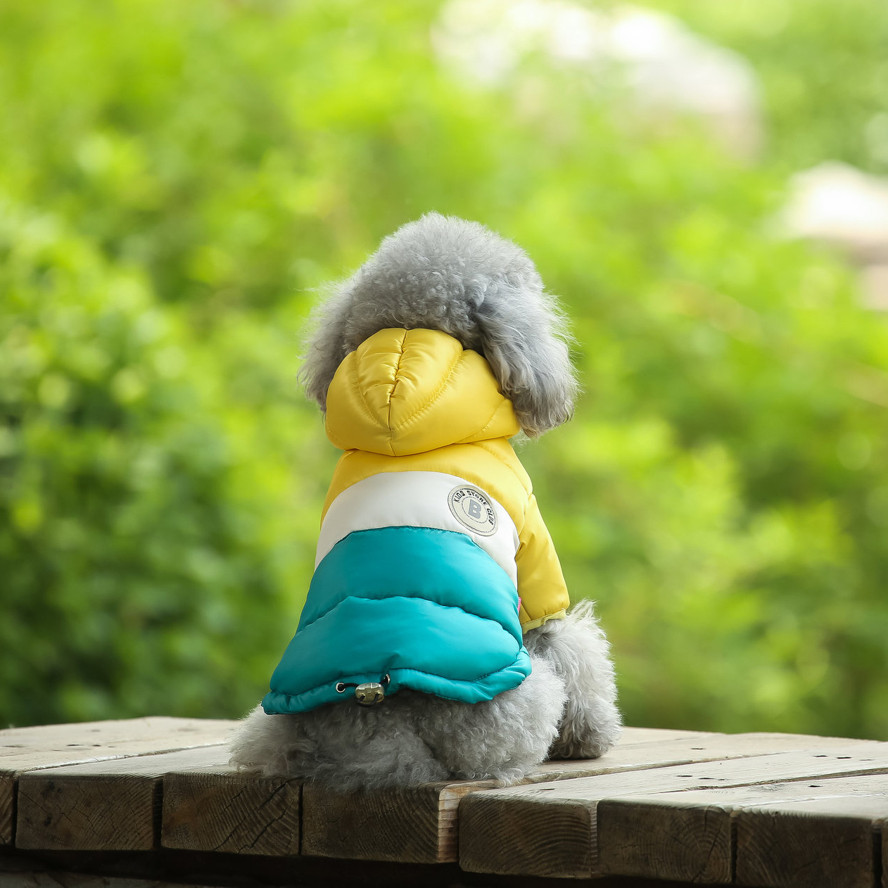 Pet Vest Pet Supplies Winter C - огляд і ціна Winter Clothing Options