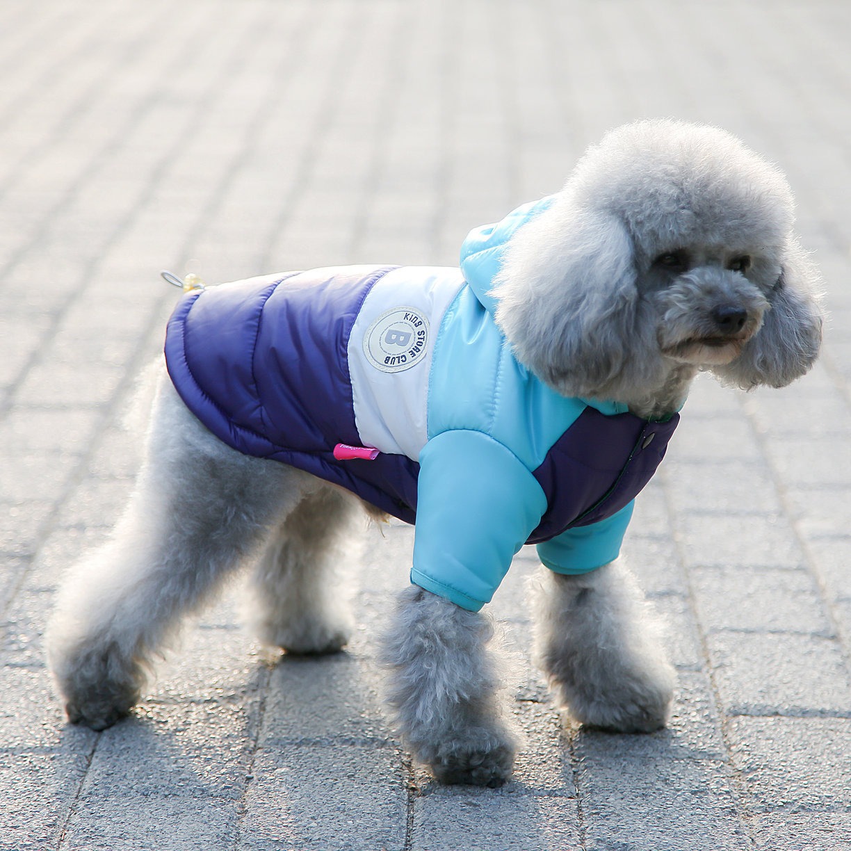 Pet Vest Pet Supplies Winter C - огляд і ціна Winter Clothing Options